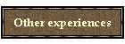 Other experiences
