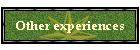 Other experiences